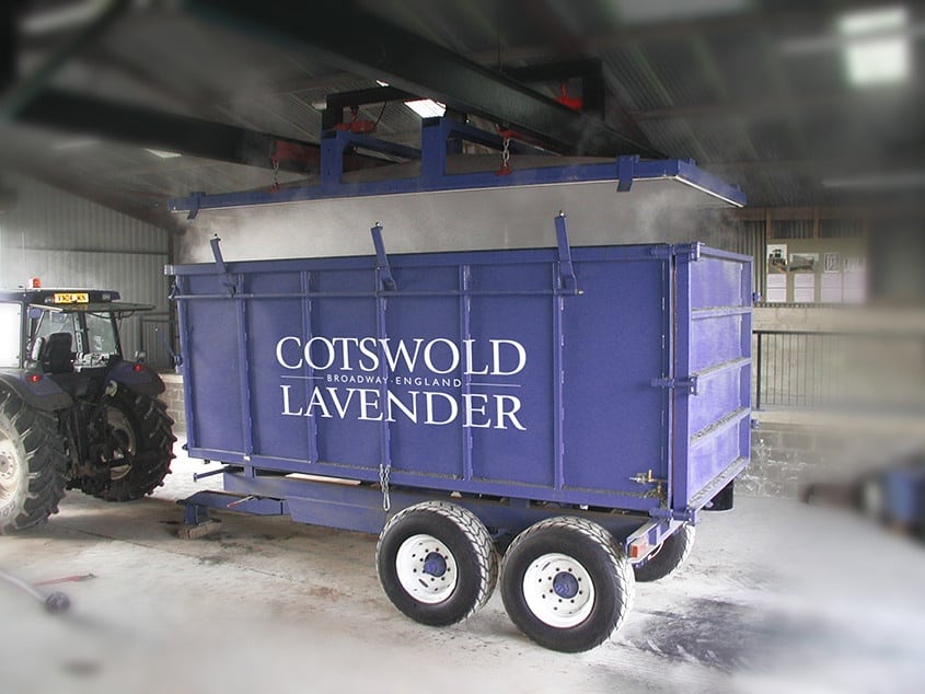 Cotswold Lavender Harvest